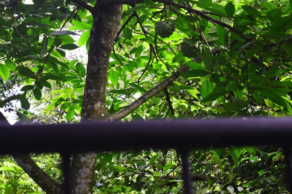 Avaana By Springhills Hotel Kandy Bagian luar foto