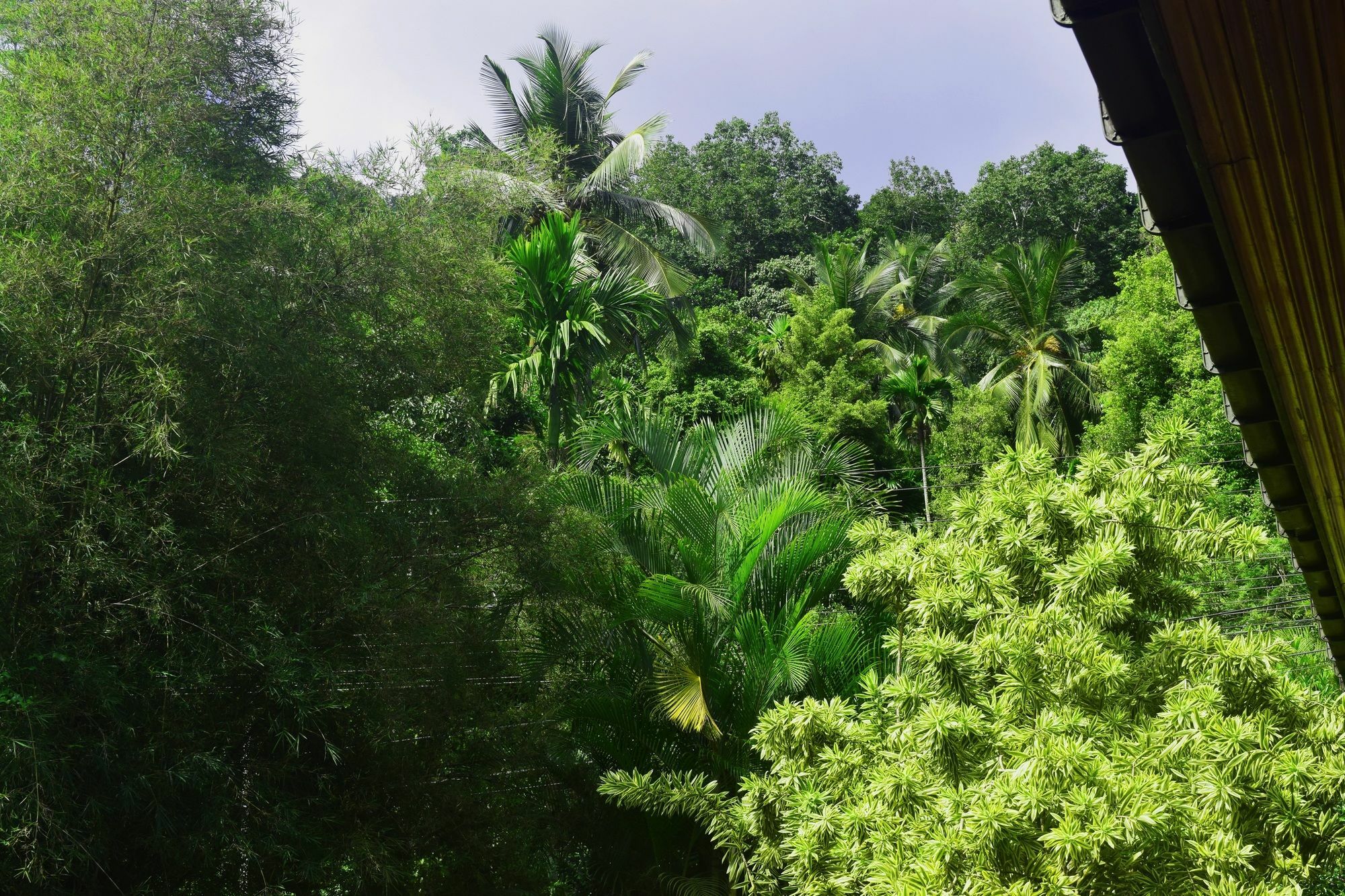 Avaana By Springhills Hotel Kandy Bagian luar foto