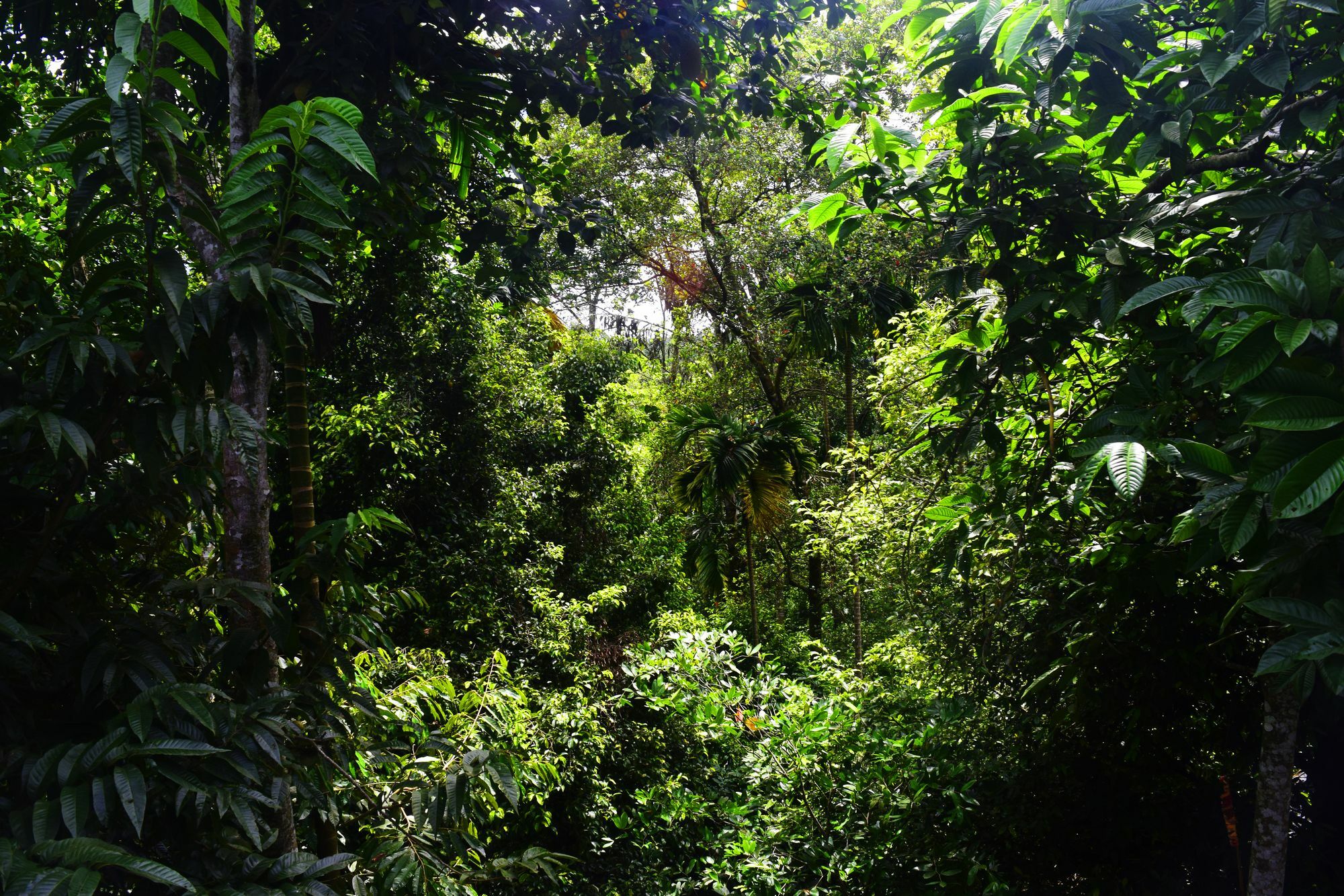 Avaana By Springhills Hotel Kandy Bagian luar foto