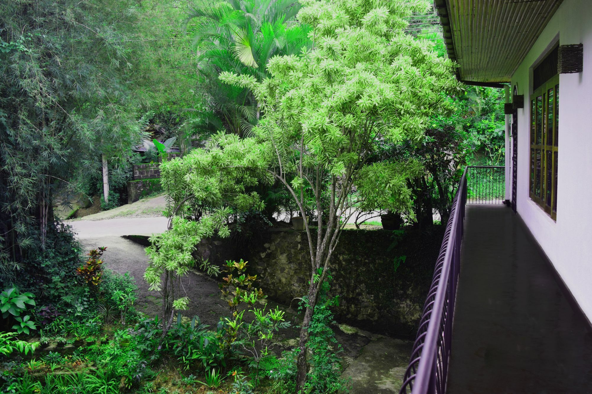 Avaana By Springhills Hotel Kandy Bagian luar foto